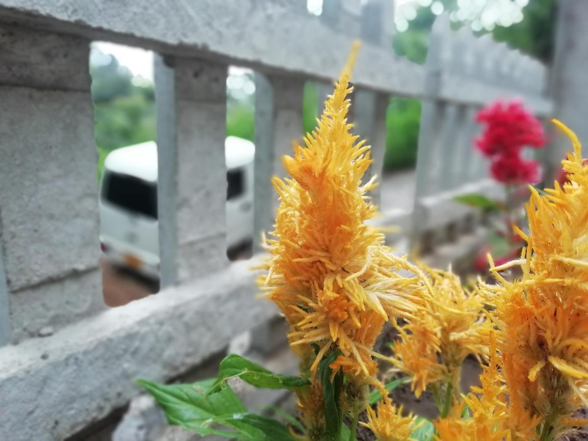 Ella Delightful Surround Homestay Ngoại thất bức ảnh