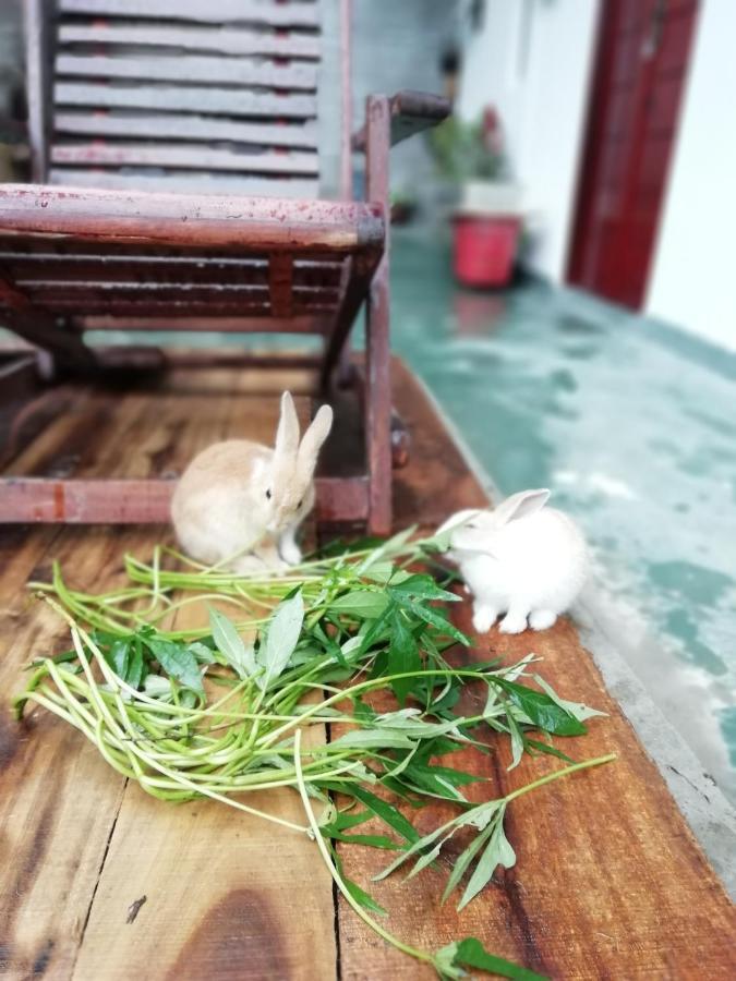 Ella Delightful Surround Homestay Ngoại thất bức ảnh