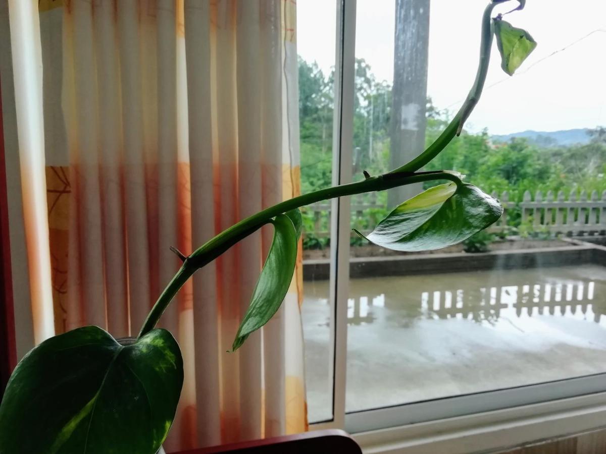 Ella Delightful Surround Homestay Ngoại thất bức ảnh