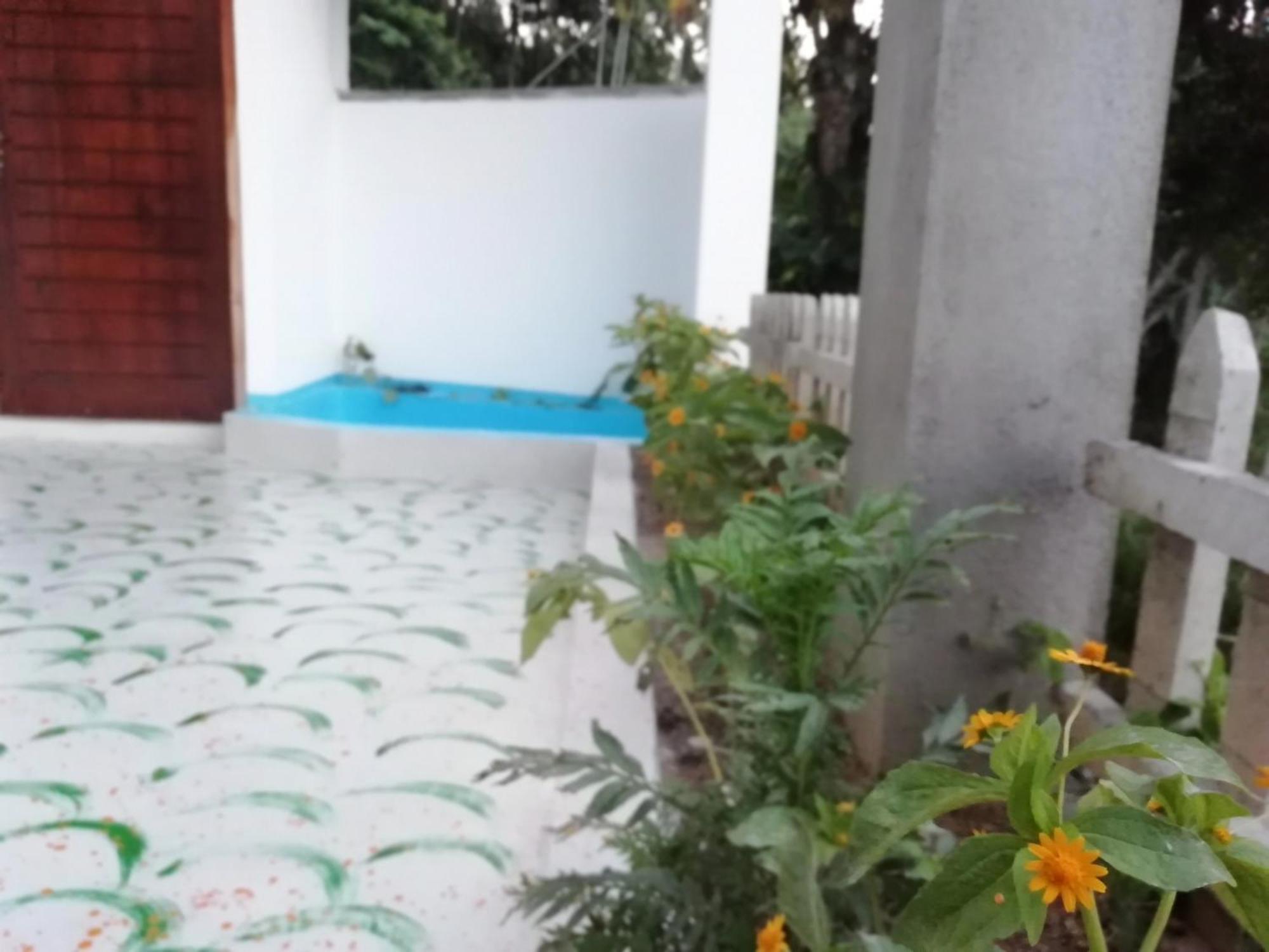 Ella Delightful Surround Homestay Ngoại thất bức ảnh
